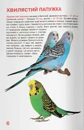 Велика книжка. Папуги - Олег Зав'язкин - мініатюра 3