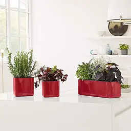 Вазон Lechuza Cube Glossy, 0.7 л, білий (13520) - мініатюра 6