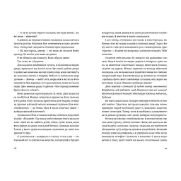 Книга Незнайомець нагорі - Ліза М. Матлін Видавництво Старого Лева (9789664484173) - мініатюра 4