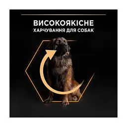 Сухий корм для собак Purina Pro Plan Dog Large Adult Robust з куркою 14 кг (7613035120426) - мініатюра 7