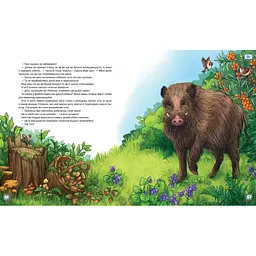 Дитяча книжка Час Майстрів Хвости Найперший детектив - Ганна Захарук 253646 - мініатюра 4