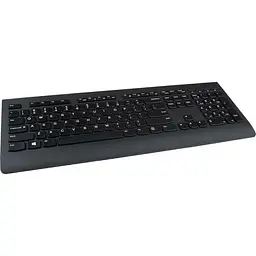 Комплект клавіатура + миша Lenovo Professional Wireless Combo UA Black [4X31D64775] [99007] - мініатюра 4