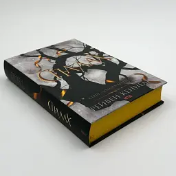 Спалах - Рейвен Кеннеді | Клуб Сімейного Дозвілля, книга українською, нова, тверда - мініатюра 2