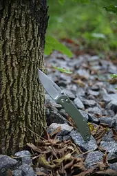 Ніж cкладний Ganzo G7531-GR - мініатюра 9