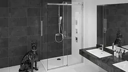 Душова кабіна Rea Nixon 90x120 P chrome REA-K5011 + REA-K5003, Хром, Права, прозорий, хром - мініатюра 2