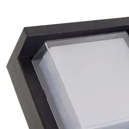 Підсвітка Brille LED фасадна IP65 AL-294/12W BK - мініатюра 3