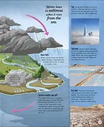 Life Cycles. Everything from Start to Finish - мініатюра 3