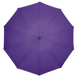 Парасолька Zuodu Automatic Umbrella (ZD001) Purple [68848] - мініатюра 2