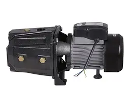 Насос самовсмоктувальний відцентровий Thermo Alliance D-JETm125M