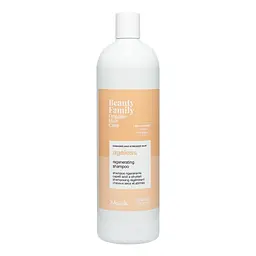 Відновлювальний шампунь для пошкодженого і ослабленого волосся Nook BEAUTY FAMILY AGELESS 1000 мл