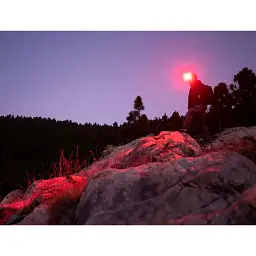Ліхтар Olight Perun 2 Mini OD Green - мініатюра 9