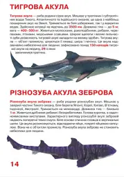 Велика книжка. Акули - Олег Зав'язкин - мініатюра 2