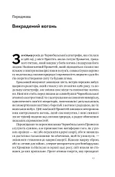 Атоми і попіл. Глобальна історія ядерних катастроф - мініатюра 11