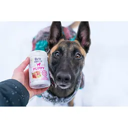 Вітаміни для цуценят Brit Vitamins Puppy для здорового розвитку 150 г - мініатюра 3
