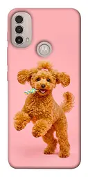 TPU чохол Demsky Happy poodle для Motorola Moto E40