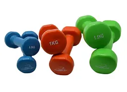Набір гантелей в кейсі 6 кг PowerPlay 4103 Fitness Dumbells 2 шт *0,5 кг, 2 шт*1 кг, 2 шт*1,5 кг (PP_4103_6kg) - мініатюра 2