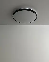 Світильник стельовий Nowodvorski 10974 Agnes Round LED Pro 1x32W 4000K 2700Lm IP44 чорний - мініатюра 2