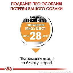 Сухий корм для собак малих порід з тьмяною та сухою шерстю Royal Canin Mini Coat Care, 1 кг (1220010) - мініатюра 4