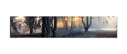 Кухонний фартух Туманний Ліс 3Д вінілова наклейка для кухні ПВХ дерева Природа Сірий Happy Pocket Z181337 - мініатюра 7