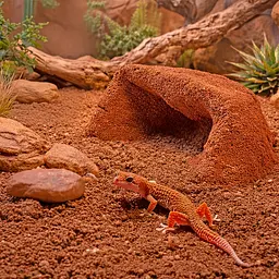 Глиняний порошок для тераріумного субстрату Hobby Terrano Clay Powder Red 1,3 кг (33210) - мініатюра 9