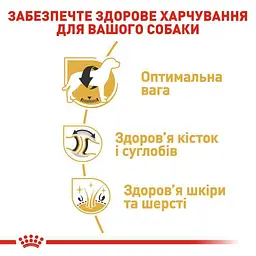 Сухий корм для дорослих собак породи Лабрадор Ретрівер Royal Canin Labrador Retriever Adult, 3 кг (2487030) - мініатюра 6