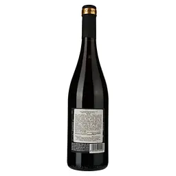 Вино Casalforte Pinot Nero IGT, червоне, сухе, 0,75 л - мініатюра 2