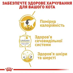 Набір вологого корму для дорослих кішок породи британська короткошерста Royal Canin British Shorthair Adult шматочки в підливі 1.02 кг (12 шт. х 85 г) - мініатюра 7