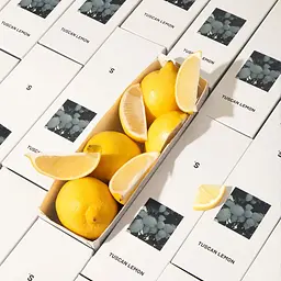 Аромат для дому Sister's Aroma Тосканський лимон 110 мл - мініатюра 3