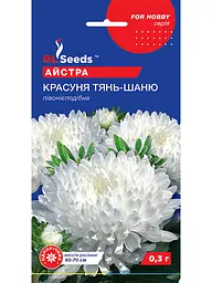 Насіння квітів Айстра Красуня Тянь-Шаню 0.3г