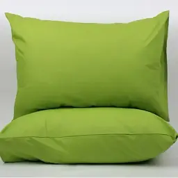 Комплект наволочок ТЕП скрутка TCX Herbal Green 50x70 см (2-03861_32291)
