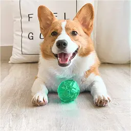 М'ячик для собак, що світиться Diamond Shape Elastic Squeaky Dog Ball з пищалкою - мініатюра 2