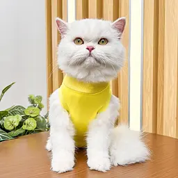 Одяг для котів після операції Holley Yellow L - мініатюра 4