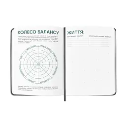 Планер-щоденник «Планер серйозної людини» сірий - мініатюра 9