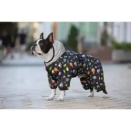 Комбінезон для собак Waudog Clothes, Рік та Морті 2, L50 - мініатюра 2
