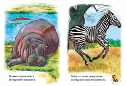 Дитяча книжка Малятам про звіряток: Тварини світу Ранок М212014У shop (9786170978677) - мініатюра 3