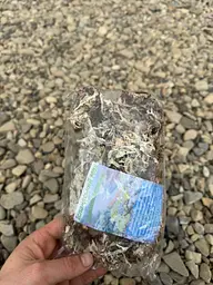 Ісландський мох, карпатський чай, фіточай - мініатюра 9