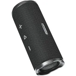 Колонка Bluetooth Tronsmart Mirtune C3 Black (1096414) UA