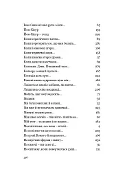 У Всесвіті, на сонячному боці: Вибрана лірика - Григорій Фалькович - мініатюра 17