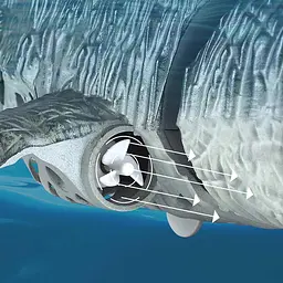 Човен на радіокеруванні SHT 3712-3A Mosasaurus 2.4G Grey - мініатюра 5