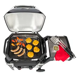 Гриль електричний Weber Pulse 2000 з підставкою (85010079) - мініатюра 3