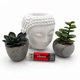 Флеш-накопичувач Wibrand USB 3.2 Gen1 Ladybug 128GB Red (WI3.2/LB128P10S) - мініатюра 5