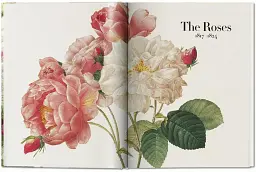 Redoute. The Book of Flowers - мініатюра 5