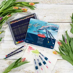 Чорнильні олівці Inktense 24кольори Derwent - мініатюра 5
