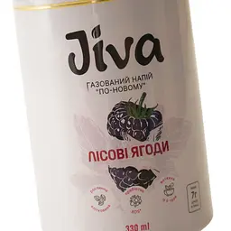 Напій соковий Jiva Лісові ягоди з соком лісових ягід з підсолоджувачем 330 мл - мініатюра 6