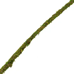 Ліана гнучка з натуральним мохом для тераріуму Repti-Zoo Artificial Moss Vine 2см x 2м (RV0220) - мініатюра 17