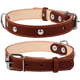 Нашийник для собак Collar подвійний з прикрасою