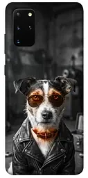 TPU чохол Demsky Jack rassel для Samsung Galaxy S20+