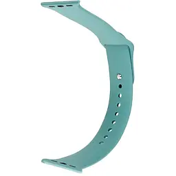 Ремінець Apple Watch Silicone 38/40/41 мм Сactus L