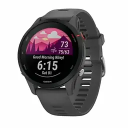 Смарт-часы Garmin Forerunner 255 Slate Grey (010-02641-00/10/43)