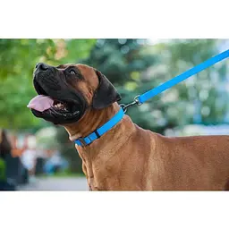 Повідець для собак Waudog Waterproof водостійкий L-XXL, блакитний - мініатюра 7